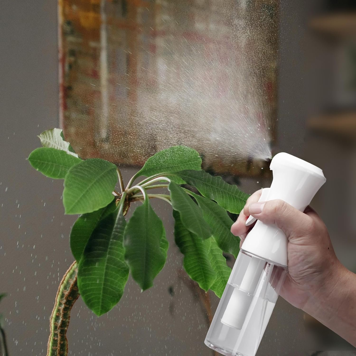 2pk ultra fine continuous mist spray bottle – leak proof, bpa free, 10oz 2pk ultra fine continuous mist spray bottle – leak proof, bpa free, 10oz