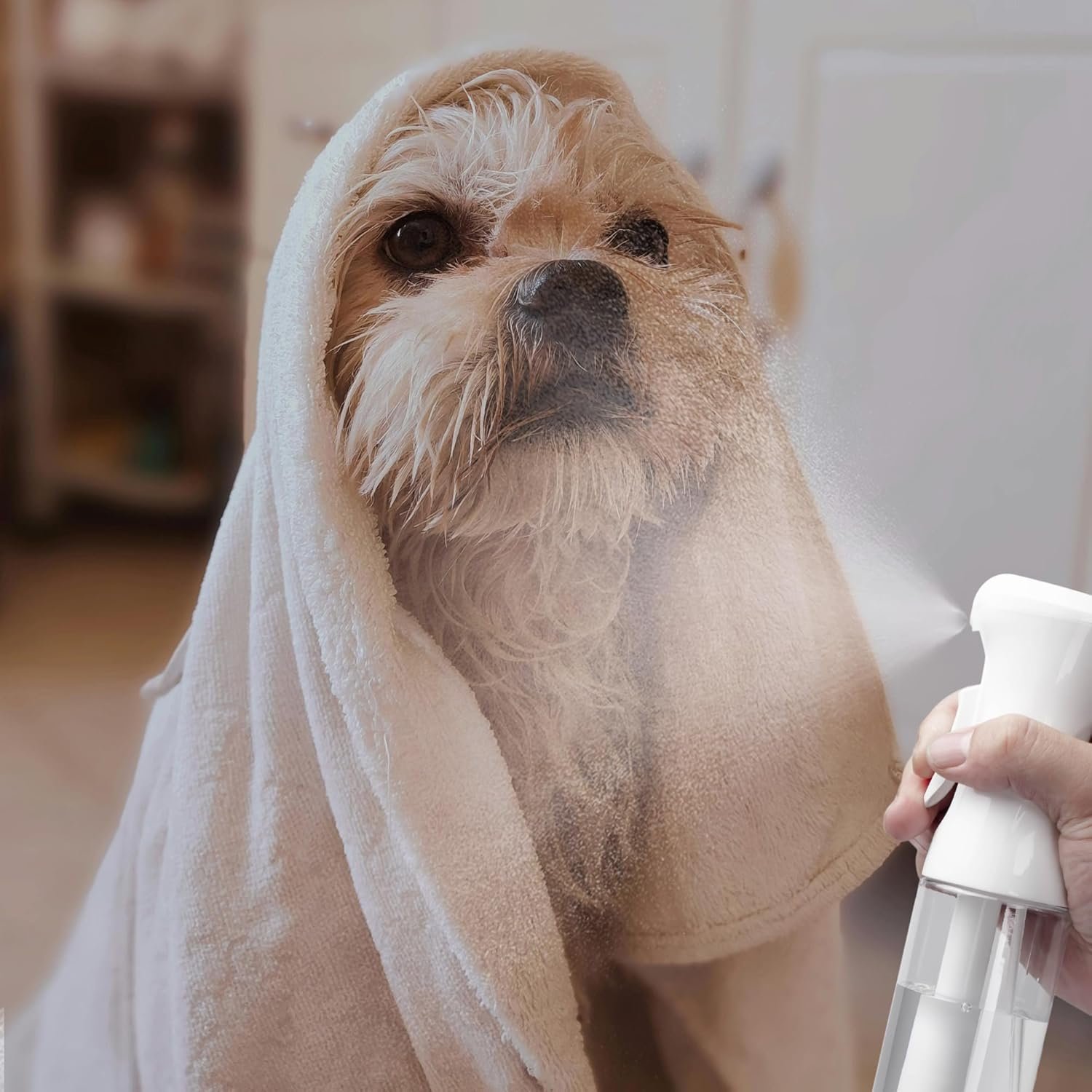 2pk ultra fine continuous mist spray bottle – leak proof, bpa free, 10oz 2pk ultra fine continuous mist spray bottle – leak proof, bpa free, 10oz