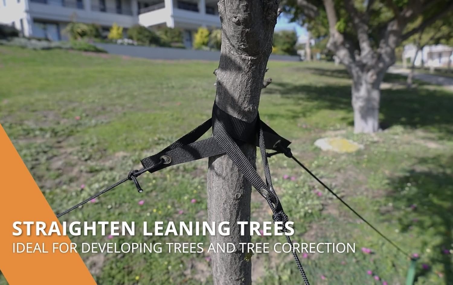 heavy duty tree stake kit – 3 x 12" stakes, straps & 30ft rope heavy duty tree stake kit – 3 x 12" stakes, straps & 30ft rope