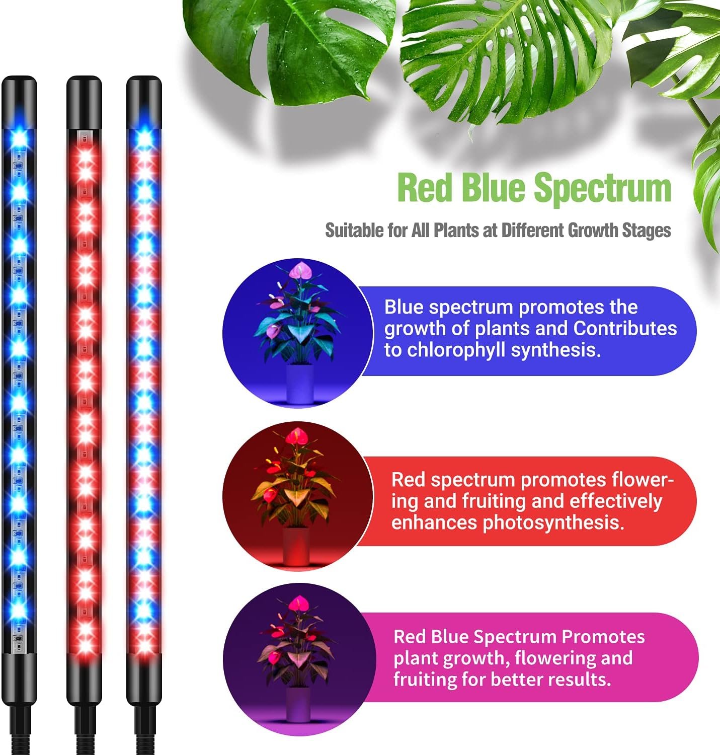 150 led grow lights for indoor plants – red blue spectrum with timer & dimmable settings 150 led grow lights for indoor plants – red blue spectrum with timer & dimmable settings