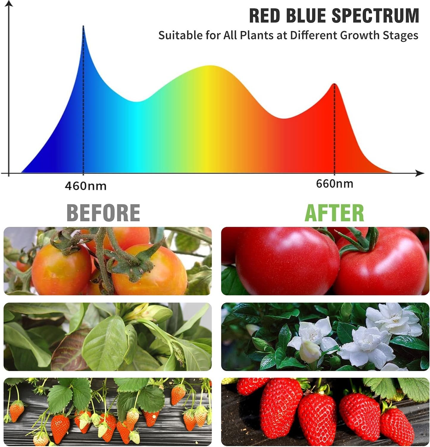 150 led grow lights for indoor plants – red blue spectrum with timer & dimmable settings 150 led grow lights for indoor plants – red blue spectrum with timer & dimmable settings