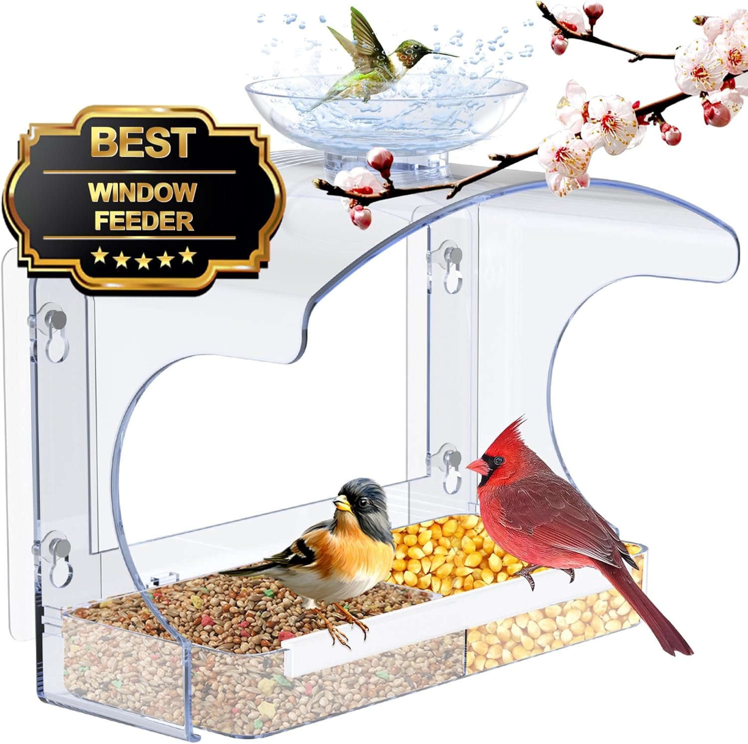 goodeco clear window bird feeder with bird bath – strong suction & easy clean goodeco clear window bird feeder with bird bath – strong suction & easy clean