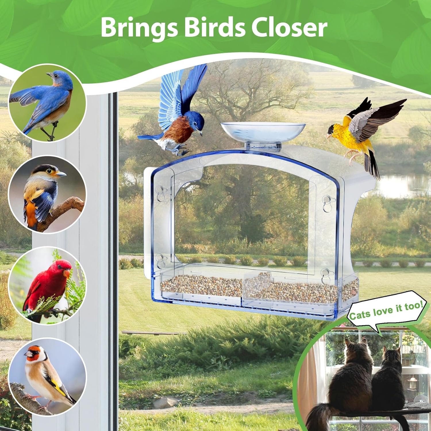 goodeco clear window bird feeder with bird bath – strong suction & easy clean goodeco clear window bird feeder with bird bath – strong suction & easy clean